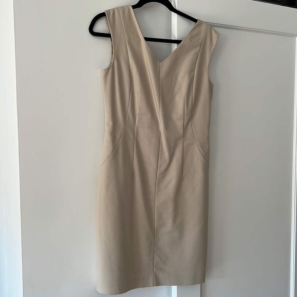 Club Monaco Dress